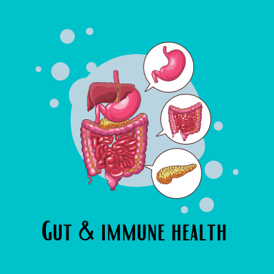Gut & Immune Health