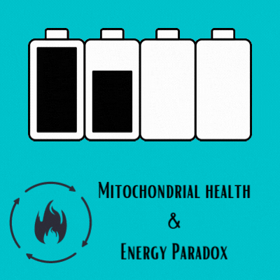 Mitochondrial Health & Energy Paradox