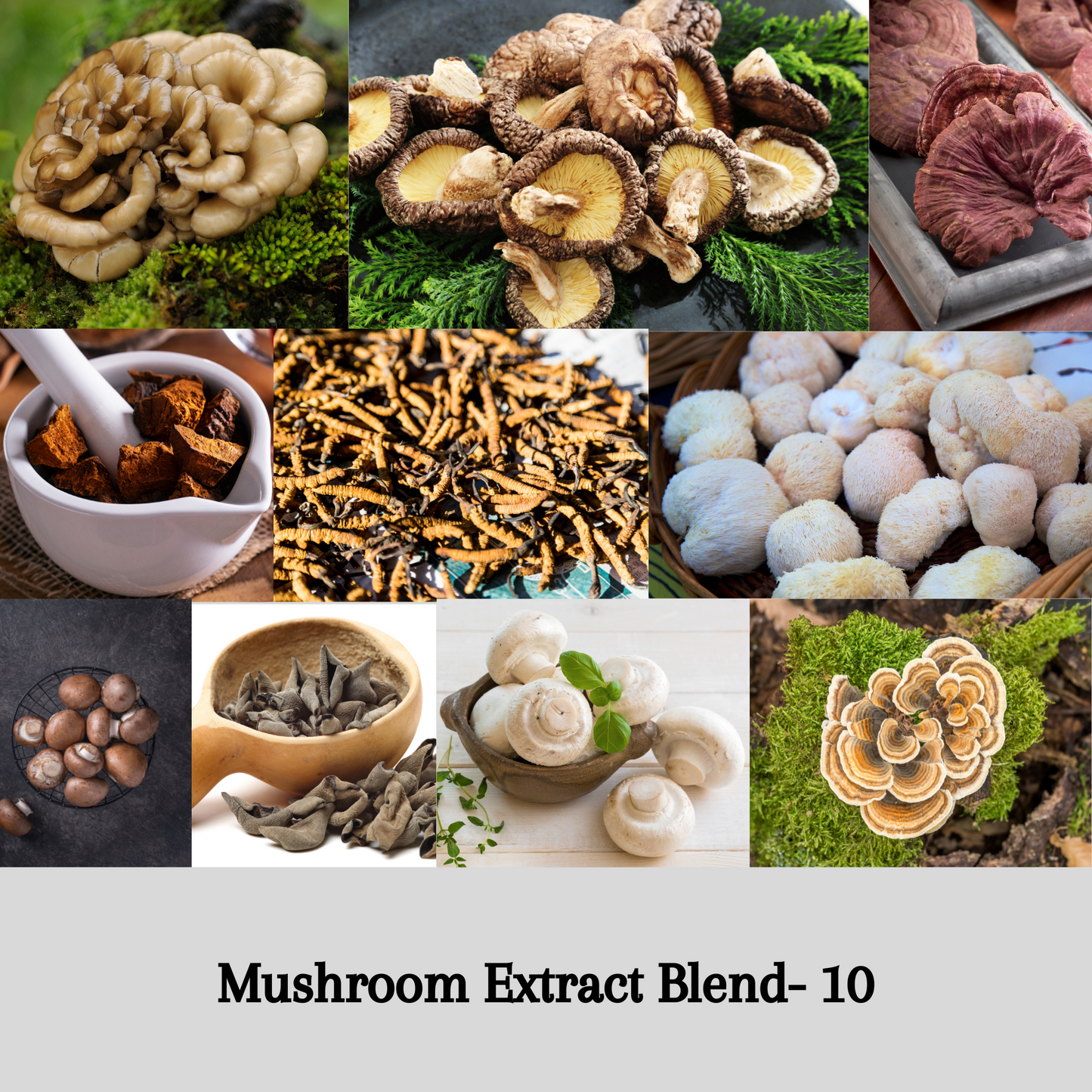 Mushroom Extract Blend - 10